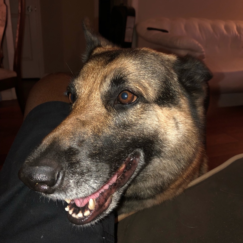 Meet your Posher, Corey